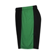 Great Torrington Academy Shorts