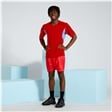 Red Shadow Stripe PE Shorts