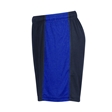 Oldfield School PE Shorts