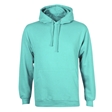 Peppermint Hoodie