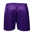 Shadow Stripe PE Shorts
