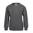 Future Academies Watford PE Sweatshirt