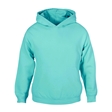 Peppermint Hoodie