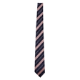 Pimlico Academy Tie - Compulsory 