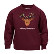 Reindeer Fairy Lights Christmas Sweatshirt - Child