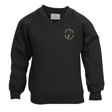 Parkdale Primary School V-Neck Sweatshirt
