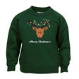 Reindeer Fairy Lights Christmas Sweatshirt - Child