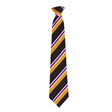 Heritage High School Tolkien House Tie - Purple
