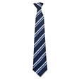Ashfield School Tie
