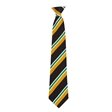 Heritage High School Redgrave House Tie - Green