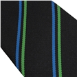 GTS Academy House Tie - Endeavour - Blue/Emerald