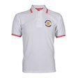 Backwell Secondary School Polo Shirt with Collar Stripes