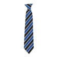 St James School School Tie