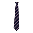 Bedale High School Swale House Tie  - Red