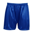 Shadow Stripe PE Shorts
