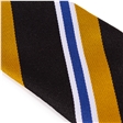 Heritage High School Westwood House Tie - Blue