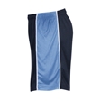 Abbeyfield School PE Shorts