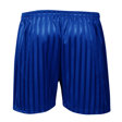 Gillingstool Primary School Shadow Stripe PE Shorts