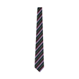 Dyke House College Green Tie
