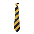 Staplehurst School Tie