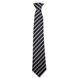 Debenham High School Da Vinci House Tie - White