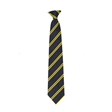 The Charter School Bermondsey Year 9 Tie Navy/Gold (Sept 2026)