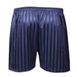 Navy Shadow Stripe PE Shorts