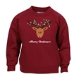 Reindeer Fairy Lights Christmas Sweatshirt - Child