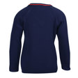 Laburnum Primary School V-Neck Jumper with Stripe