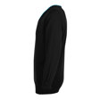 Denefield School Acrylic V-Neck Jumper with Stripe