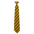Springwood High School House Tie - Blickling (Gold)