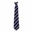 Charles Darwin Primary & Nursery School School Tie