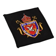 All Saints' CV Academy Blazer Badge