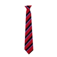 Alcester Grammar School Birch House Tie- Purple