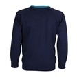 Paddington Academy V-Neck Jumper - Optional