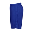 The Clere School Mesh PE Shorts