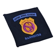 Oxford Spires Academy Yrs 7 to 9 Sept 2026 Sew On Badge - Bannister (Blue)
