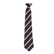 The Market Weighton School Langdale House Tie - Gold