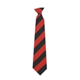 Alcester Grammar School Years 10-11 ONLY School Tie