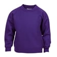 Crew Neck School Sweatshirt
