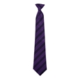 Springwood High School House Tie -  Felbrigg (Purple)