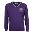 Barnet Hill Academy Knitted V-Neck Jumper