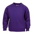 Purple Crew Neck Sweatshirt