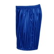 Royal Shadow Stripe PE Shorts