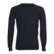Backwell Secondary School V-Neck Jumper with Stripe - Sedgemoor (Navy/Bottle)