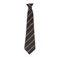 GTS Academy House Tie - Discovery - Red/Emerald