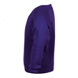 Purple V-Neck Sweatshirt
