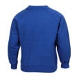 Aldington Primary School Crew Neck Sweatshirt