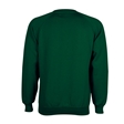 School V-Neck Sweatshirt