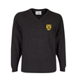 Holywell School Purple St David House Jumper